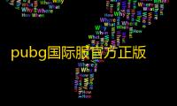pubg国际服官方正版